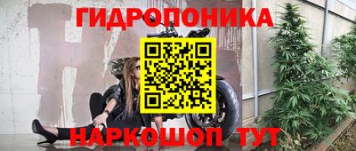 молекула духа Краснознаменск