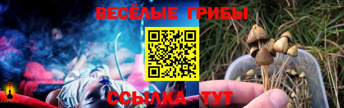 Псилоцибиновые грибы Psilocybine cubensis Ковров